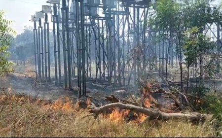 मुंडावर के सोहपुर 33 KV पावर हाउस में भीषण आग, धमाके के साथ फटा ट्रांसफार्मर; आपूर्ति बहाल करने के प्रयास जारी