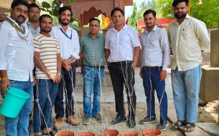 भीषण गर्मी और नौतपा के बीच बेजुबान पक्षियों के लिए आगे आई संविदा प्लेसमेंट संघर्ष समिति; जिला अस्पताल मे लगाए 21 परिंडे