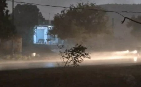 लालसोट में अंधड़ और भारी बारिश का तांडव: दो की मौत, जनजीवन अस्त-व्यस्त
