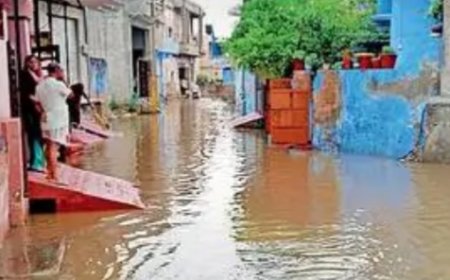प्री-मानसून की पहली बारिश में खुली नगर परिषद की पोल, कॉलोनियों में जलभराव से जनता परेशान