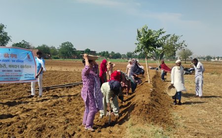 नंगली ओझा चारागाह में 'जल चौपाल' आयोजित, जल संरक्षण को जन आंदोलन बनाने का संकल्प