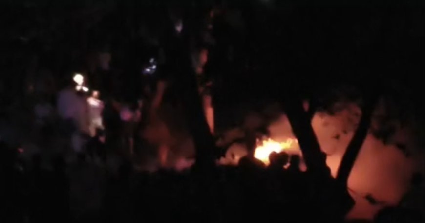 टोडानागर की पहाड़ियों में भीषण आग से प्राकृतिक संपदा को भारी नुकसान; ग्रामीणों और दमकल विभाग ने पाया काबू