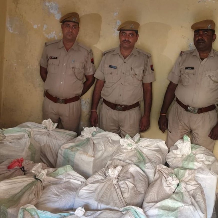 धौलपुर में अवैध अंग्रेजी शराब की 60 कार्टूनों से 720 बोतलें जब्त:अंतरराज्यीय गिरोह पर शक