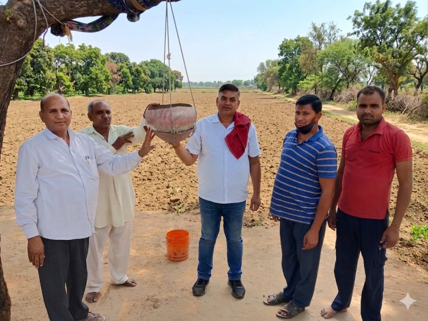 वन प्रेमियों ने पक्षियों को लगाए परिंडे,वन जीव बचाने का लिया संकल्प