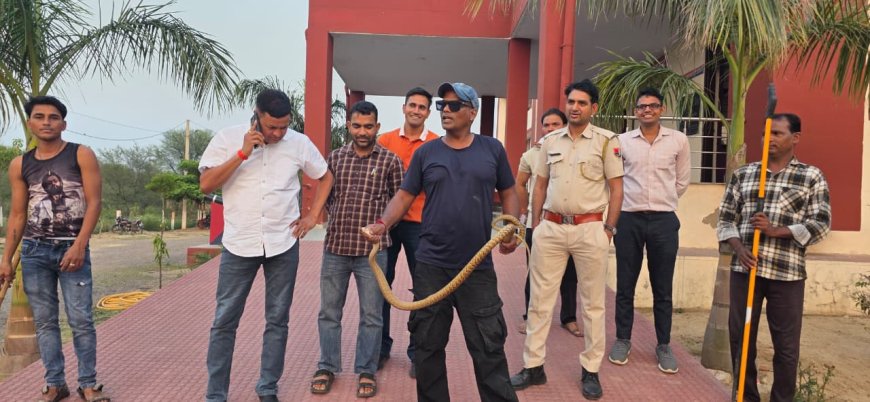 राजगढ़ थाना परिसर में मचा हड़कंप: मेस के पास निकला 8 फीट लंबा सांप, जुगनू तंबोली ने किया सुरक्षित रेस्क्यू