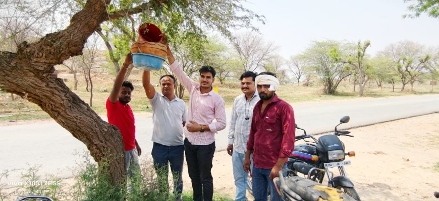 भीषण गर्मी में पक्षियों के लिए उमड़ी संवेदना: झड़ाया में लगाए गए परिंडे, नियमित जल सेवा का संकल्प