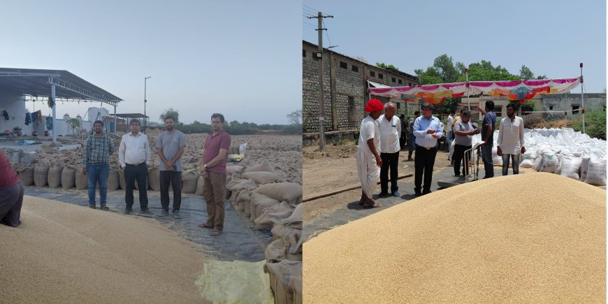 पाली जिले के चारों MSP खरीद केन्द्रों पर गेहूं खरीद कार्य सुव्यवस्थित रूप से जारी, किसानों को मिल रहा त्वरित भुगतान एवं बेहतर सुविधाओं का लाभ