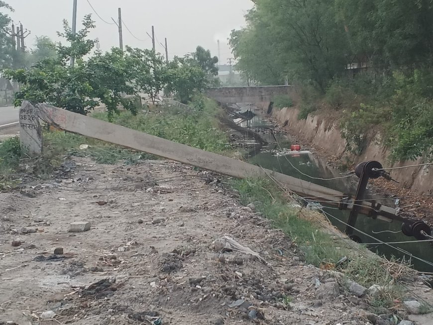 अलवर में प्रकृति का प्रकोप: तेज अंधड़ और बारिश ने मचाई तबाही; विधुत पोल गिरे और पेड धराशाई विधुत वितरण व्यवस्था ठप्प