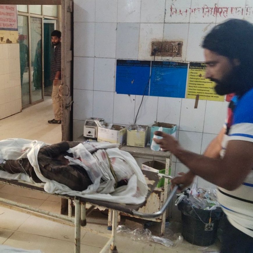 डीग: ट्रैक्टर से गिरकर व्यक्ति की मौत, भूसा डालकर लौटते समय हुआ हादसा