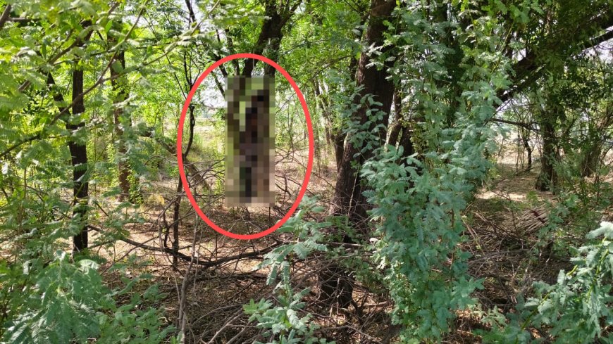 लक्ष्मणगढ़ में संदिग्ध परिस्थितियों में युवक का शव फंदे से लटका मिला; पुलिस और फॉरेंसिक टीम जांच में जुटी