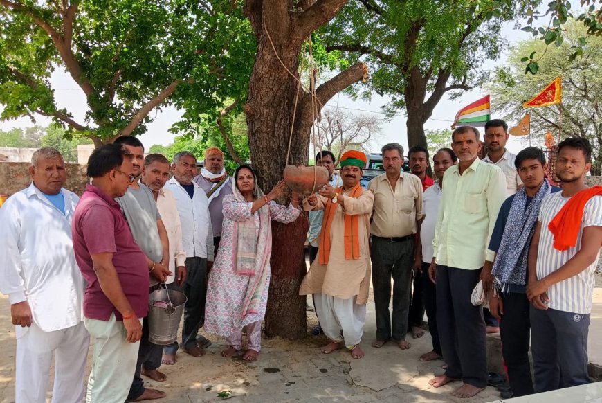 "पक्षी बचाओ-परिण्डे लगाओ" अभियान: भुसावर-वैर क्षेत्र में लगाए गए 61 परिण्डे; पूर्व सांसद रामस्वरूप कोली ने की शिरकत