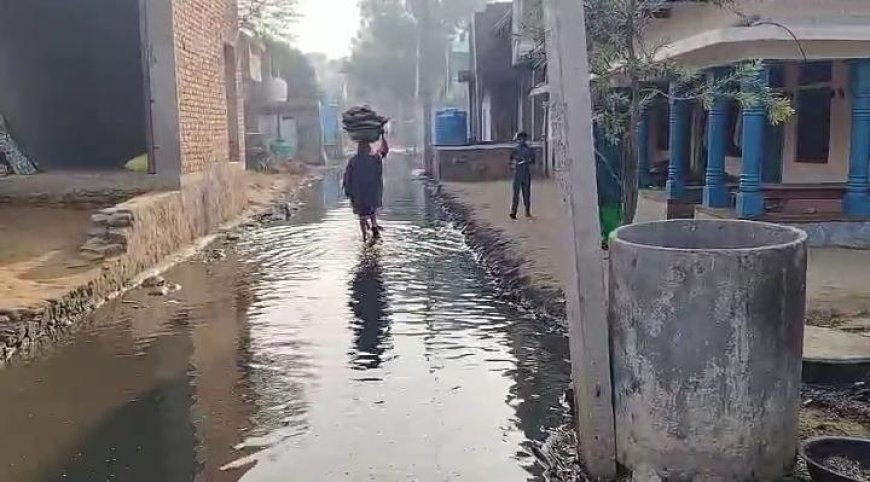 हरसाना के मालीबास में सड़क पर भरा गंदा पानी,बीमारियों का खतरा, राहगीर परेशान