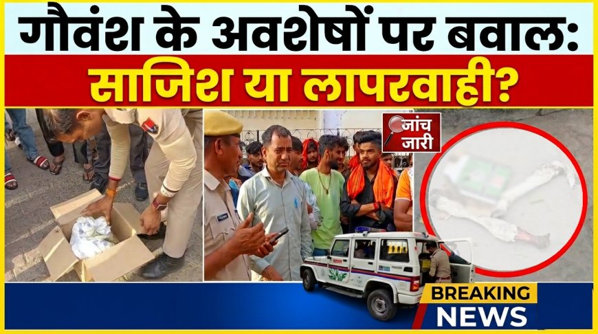 अलवर में एक बार फिर गौवंश के अवशेष मिलने से तनाव, जांच में जुटी पुलिस और FSL टीम
