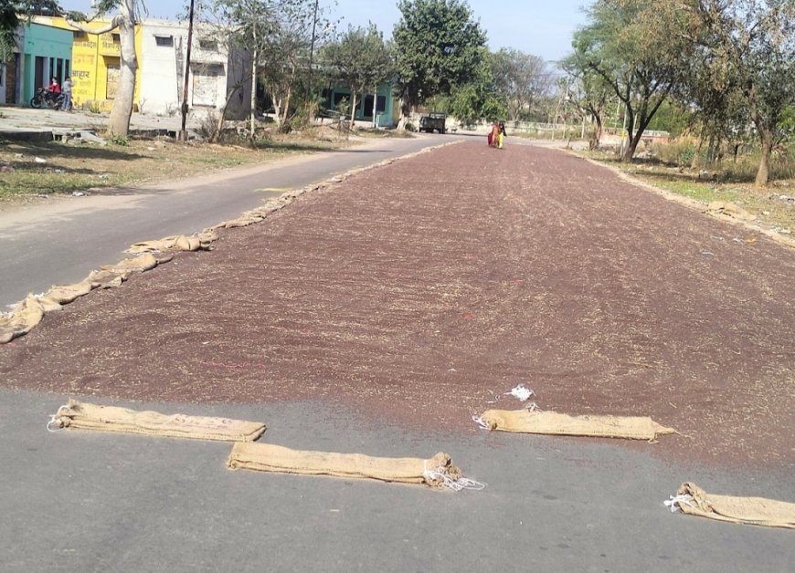 ईरान-अमेरिका तनाव और पीएम के बयान का असर: 3 दिन में 250 रुपए उछले सरसों के दाम, खल भी 300 रुपए महंगी!