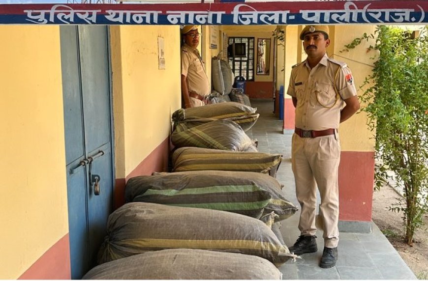 नाणा में फिल्मी अंदाज में 5 किलोमीटर तक पीछा कर दबोचा; टायर फटने के बाद भी भागते रहे तस्कर; 3 गाड़ियां और 774 किलो डोडा पोस्त जब्त!