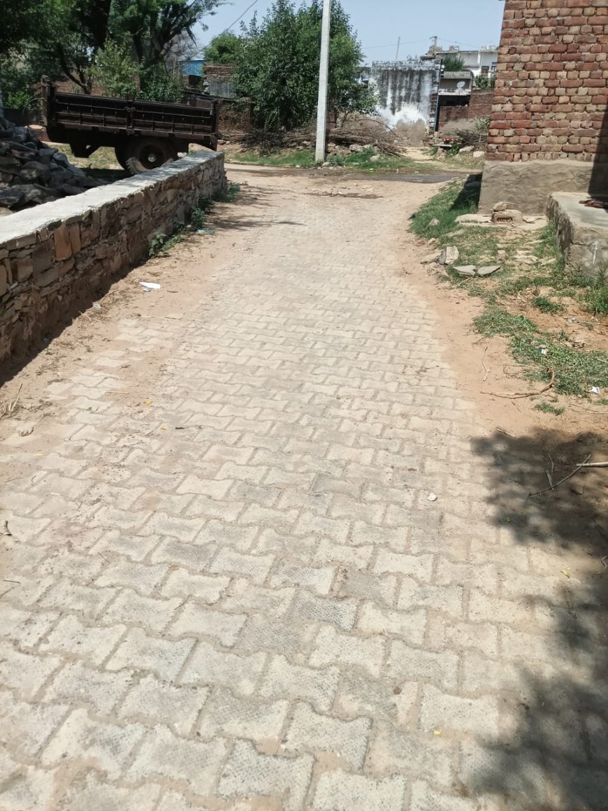 स्वरूप सराय इंटरलॉकिंग विवाद गहराया, पीड़ित ने 25 लोगों पर लगाया ईंट उखाड़ने का आरोप; एसडीएम को शिकायत सौंपकर निष्पक्ष जांच व कार्रवाई की मांग की