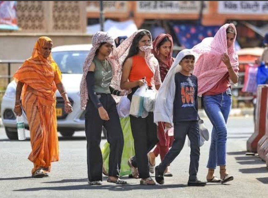 भीषण गर्मी से लोग हुए परेशान, नौतपा से पहले ही पारा पहुंचा 44 डिग्री