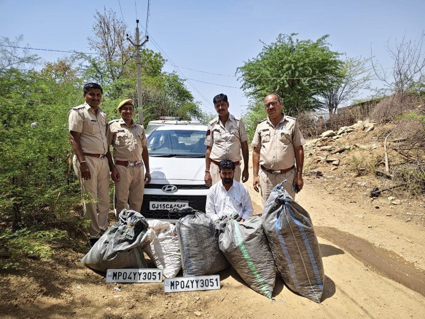 नाना थाना पुलिस का मादक पदार्थ तस्करों पर बड़ा प्रहार, लगातार तीसरे दिन डोडा पोस्त से भरी दो कारें जब्त