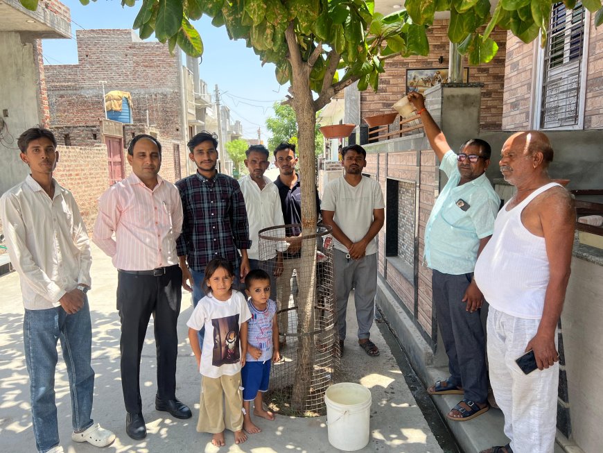 समाजसेवियों ने पक्षियों के लिए लगाएं परिंदे, भीषण गर्मी में जल व्यवस्था कर जीव जंतुओं को दी राहत