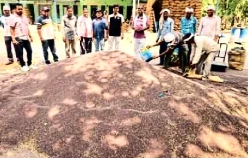 वैश्विक तनाव और युद्ध की आंच से सरसों के दामों में ऐतिहासिक उबाल; खैरथल मंडी में भाव ₹7,500 प्रति क्विंटल तक पहुंचे