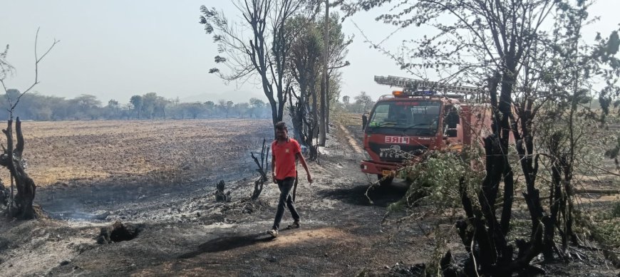 खेतों में अज्ञात कारणों से लगी आग तीन दमकलों ने घंटों बाद आग पर पाया काबू