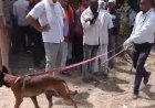 प्रेम प्रसंग में तिहरे हत्याकांड से दहला प्रयागराज, शादी का विरोध करने पर ताऊ और दो चाचियों की निर्मम हत्या; 9 घंटे के भीतर मुख्य आरोपी समेत दो गिरफ्तार,