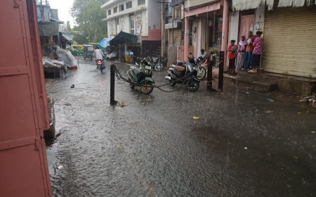 राजगढ़ में दोपहर बाद झमाझम बारिश: नौतपा की निकली हवा, तापमान में भारी गिरावट से मौसम हुआ खुशनुमा