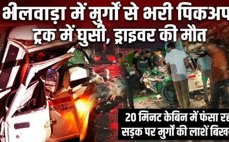 ट्रक में घुसी मुर्गों से भरी पिकअप, 20 मिनट तक केबिन में फंसा रहा चालक; मौत