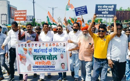 महंगाई से आमजन बेहाल, बिजली-पानी की समस्याओं पर सरकार मौन : मेवाड़ा