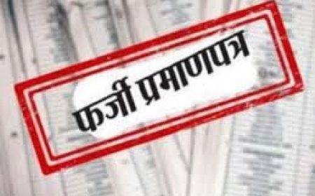 फर्जी दिव्यांग प्रमाण पत्र के आधार पर सरकारी नौकरी पाने वाले शिक्षक को पुलिस ने किया गिरफ्तार; न्यायालय ने 3 दिन की पुलिस रिमांड पर भेजा