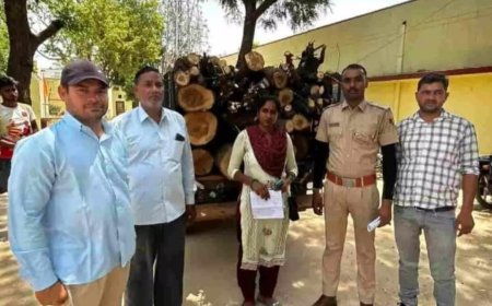 वन विभाग की बड़ी कार्रवाई: अवैध रूप से हरी लकड़ी का परिवहन करते हुए 'किसान बुग्गा' जब्त, तस्करों में हड़कंप