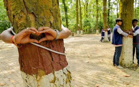 'विश्व पर्यावरण दिवस' केवल कागजी खानापूर्ति या संरक्षण का सच्चा संकल्प? भीलवाड़ा में उठे गंभीर सवाल