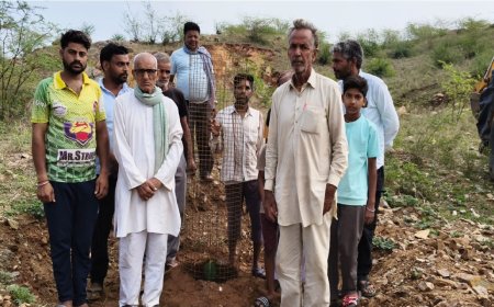 विश्व पर्यावरण दिवस पर मातेश्वरी शक्ति धाम पचलंगी में वृक्षारोपण; भैरू घाटी में लगाया बरगद का पेड़