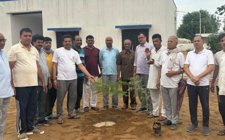 बड़ागांव में विश्व पर्यावरण दिवस पर वृक्षारोपण: विशेष अवसरों पर पौधे लगाकर करें उनकी परवरिश – मंगलचंद सैनी