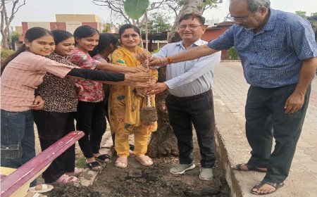 विश्व पर्यावरण दिवस पर बाल विकास परियोजना कुम्हेर कार्यालय परिसर में किया गया वट वृक्षारोपण