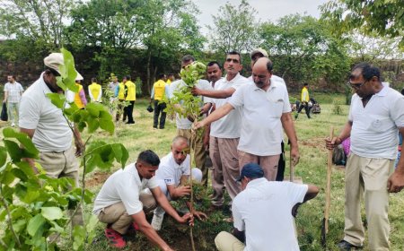 लोहागढ़ किले में विश्व पर्यावरण दिवस पर वृहद पौधारोपण व स्वच्छता अभियान आयोजित; जनप्रतिनिधियों, अधिकारियों और आमजन ने मिलकर दिया पर्यावरण संरक्षण का संदेश