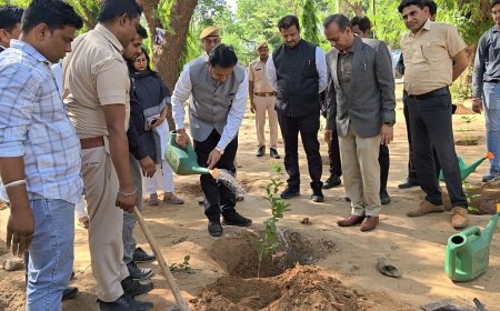 विश्व पर्यावरण दिवस पर न्यायिक अधिकारियों की अनूठी पहल: किशनगढ़ बास जेल परिसर में किया भव्य वृक्षारोपण, रोपे गए पौधों को पेड़ बनाने की ली शपथ