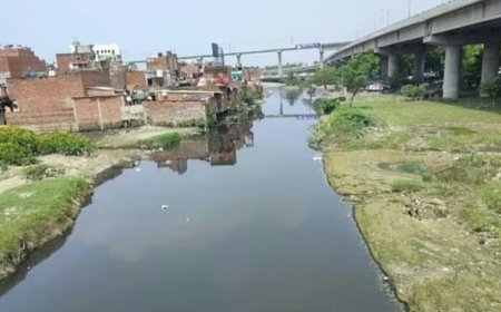 सड़क या श्मशान जैसी सार्वजनिक ज़रूरतों के लिए प्राकृतिक जल मार्गों को नष्ट नहीं किया जा सकता : राजस्थान हाईकोर्ट