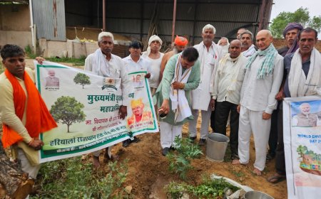हरियालो राजस्थान अभियान का शुभारंभ, विधायक रमेश खींची ने मां के नाम लगाया पौधा