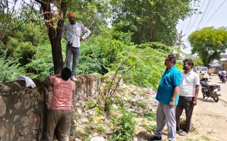 विद्युत वितरण निगम की बड़ी कार्रवाई: राजगढ़ में निर्बाध बिजली आपूर्ति के लिए विद्युत लाइनों के पास आए पेड़ों की डालियों की छंटाई की