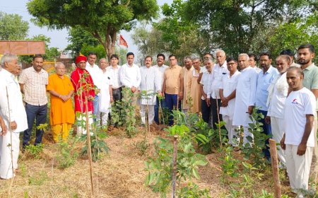 पर्यावरण संरक्षण के लिए महाअभियान का शंखनाद: भारत विकास परिषद और गायत्री परिवार लगाएंगे 11 हजार पौधे; हस्ताक्षर अभियान का भी हुआ शुभारंभ