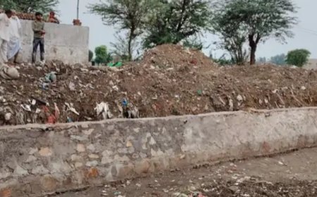 रसगण में जोहड़ निर्माण कार्य में अनियमितता की शिकायत पर त्वरित कार्रवाई; विकास अधिकारी ने रुकवाया काम, जांच के आदेश
