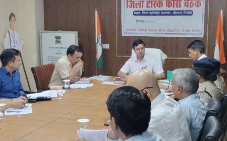 जिला कलेक्टर ने साप्ताहिक समीक्षा बैठक में दिए लंबित प्रकरणों के त्वरित निस्तारण के निर्देश