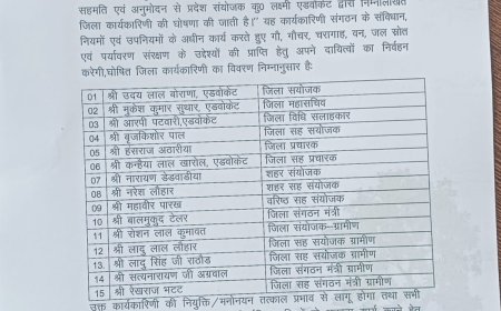 गौचर बचाओ फाउंडेशन की भीलवाड़ा जिला कार्यकारिणी घोषित: उदय लाल बोराना जिला संयोजक और मुकेश सुथार बने जिला महासचिव
