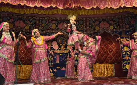 वृन्दावन से आए कलाकारों की रासलीला एवं मयूर नृत्य ने मोहा मन;  हनुमान टेकरी आश्रम पर सप्त दिवसीय श्री विष्णु लक्ष्मी महायज्ञ का दूसरा दिन
