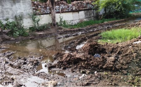 सुनकई में गंदगी और जलभराव से बढ़ा बीमारी का खतरा, शिकायतों के बावजूद प्रशासन बेखबर; नालियां अवरुद्ध होने से सड़कों पर भरा गंदा पानी, डेंगू-मलेरिया फैलने की आशंका