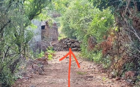 दबंगों ने पत्थर डालकर रोका वन भूमि का आम रास्ता, ग्रामीणों ने कलेक्टर से की शिकायत