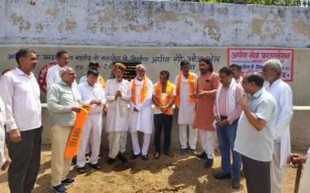 अर्पण सेवा फाउंडेशन ने श्री बालाजी गौशाला तसीग में अर्पण गौ सेवा भोज क्षेत्र का किया लोकार्पण