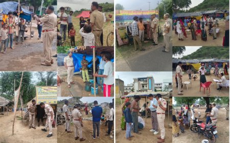 दौसा पुलिस का बड़ा एक्शन: 'प्रॉपर्टी क्राइम' रोकने के लिए पूरे जिले में चला महा-सर्च अभियान,  एक साथ मैदान में उतरीं पुलिस की 43 टीमें 170 डेरे खंगाले