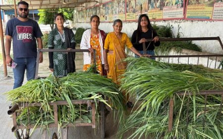 सोमवती अमावस्या पर पूर्वांचल जन चेतना समिति ने की गौ-सेवा और अन्नदान